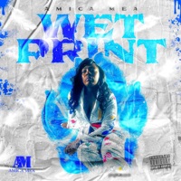 Toxic - Single - Amica Mea