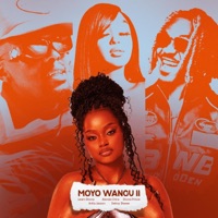 Moyo Wangu II (feat. Atenda Chinx, Shona Prince, Delroy Shewe, Anita Jaxson & Takura) - Single - Learn Zimbabwe