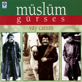 Bakma Bana Öyle song art