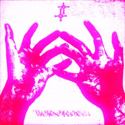 Burn To Ash - Single