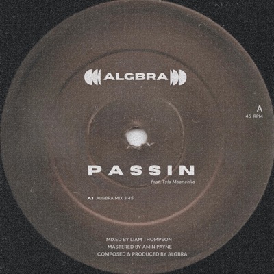 Passin (feat. Tyla Moonchild) - Single