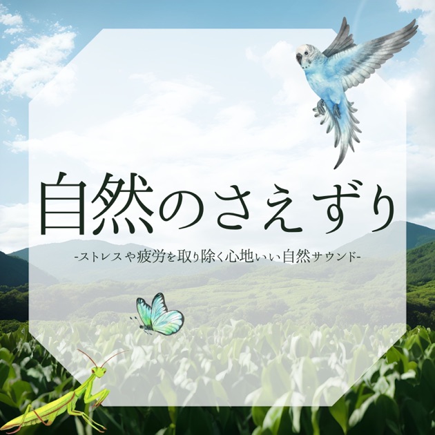 癒しの森 CD 自然音 鳥 鳴き声 森の中の自然音 - 川のせせらぎと鳥のさえずり, リラックスBGM