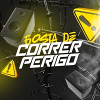 Gosta De Correr Perigo - Single - Lilke no beat p, MC 2T & mc Netin NT