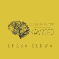 Le Sale Ba Banyana - Single - Kamzoro