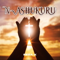 Nashukuru - Single - Feza K