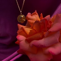 Frío en Primavera - Single - Violeta