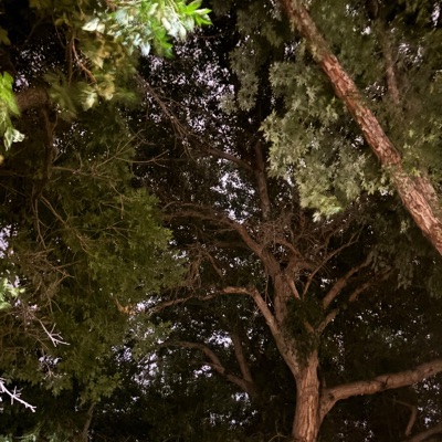 Wasted Time - Single