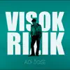 VISOK RIZIK