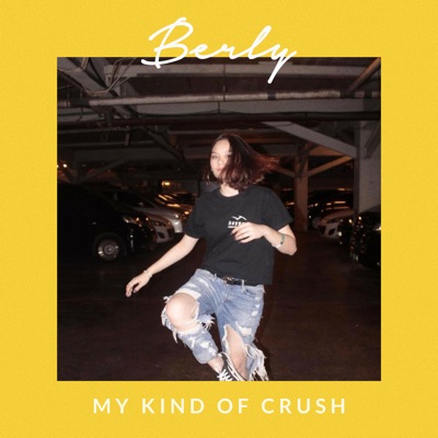 My Kind of Crush - Single