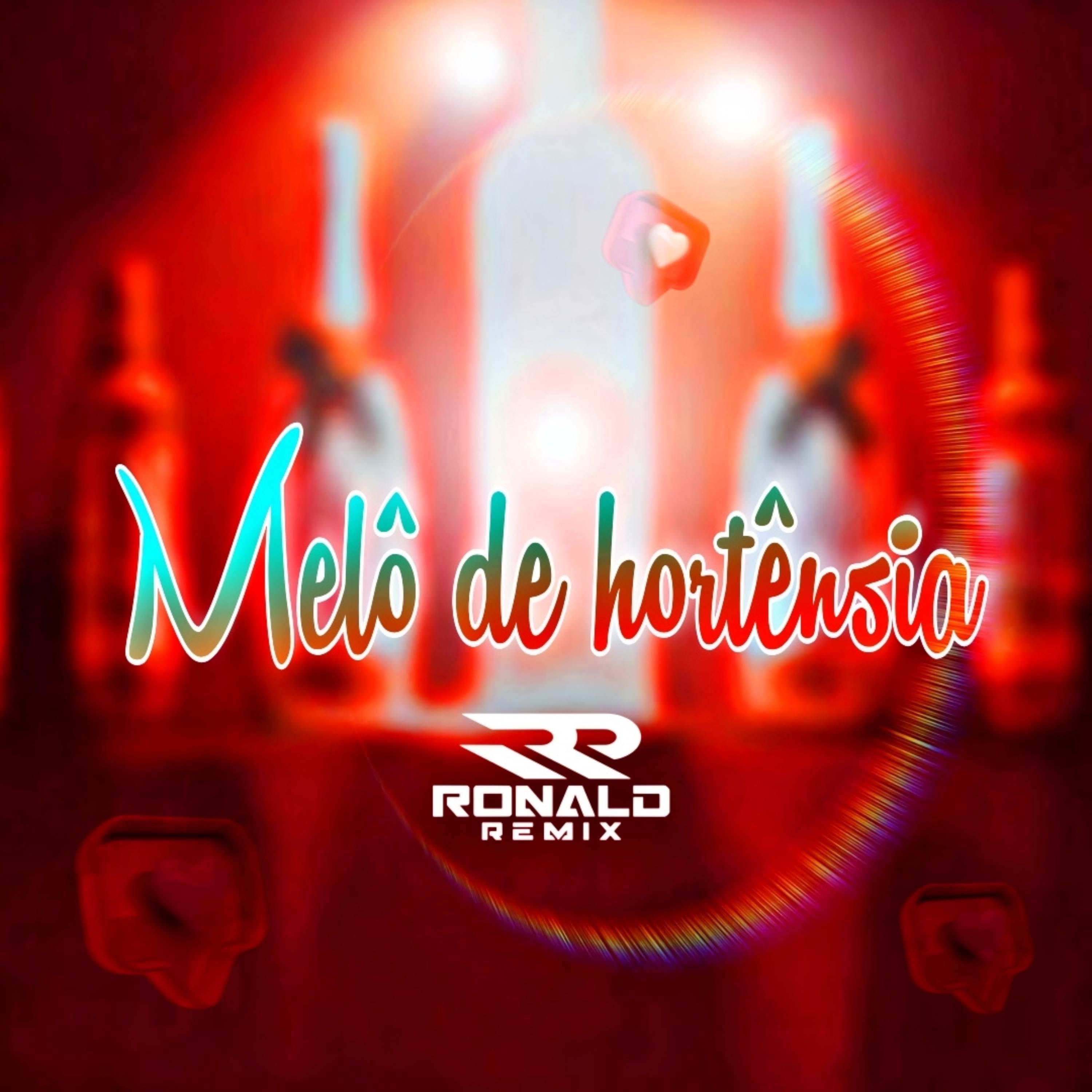 RONALD REMIX - Melô de Hortênsia - REGGAE RADIOLA 2025/2026 - TOP REGGAE DO MARANHÃO - RONALD REMIX - Exclusiva