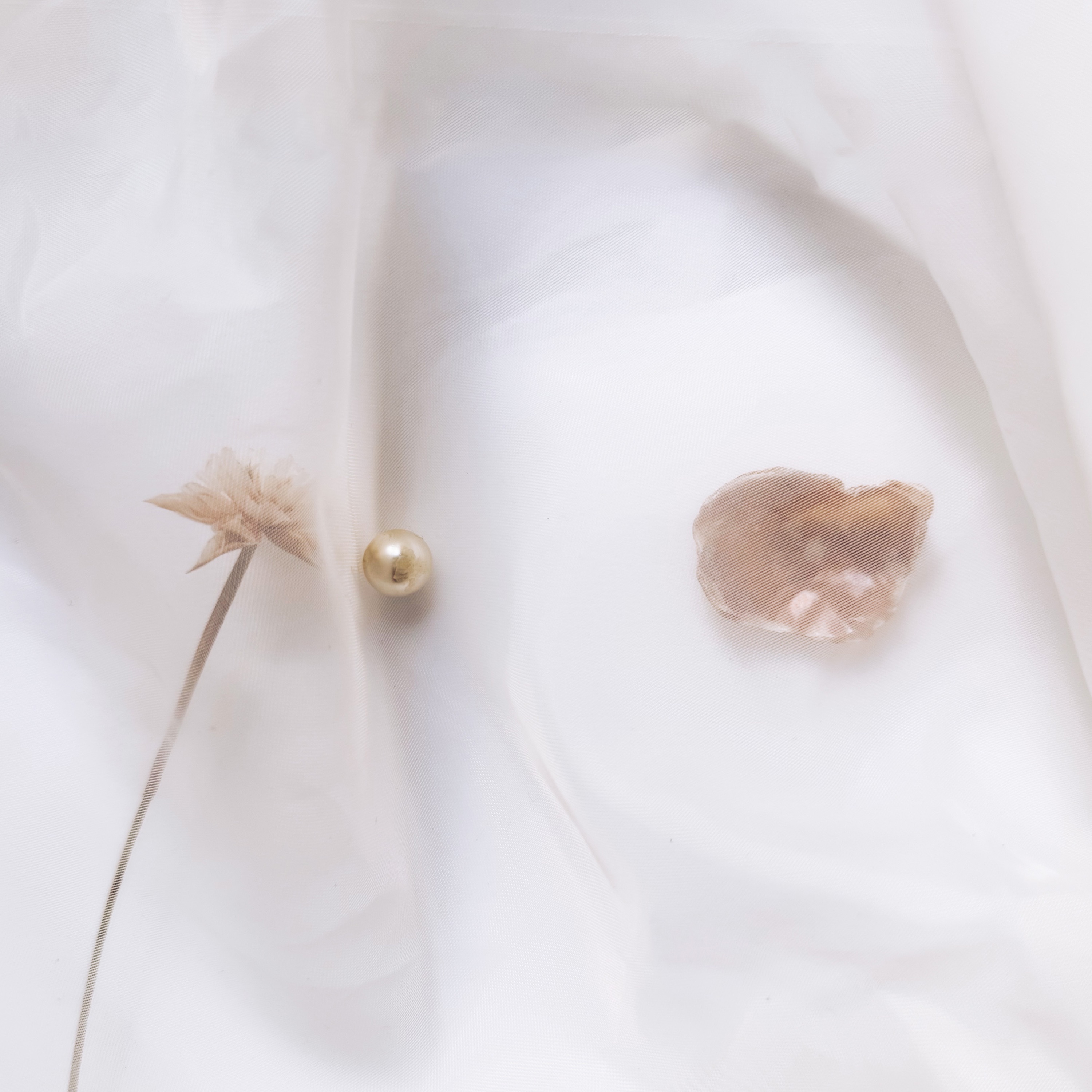 Summer's Falling - Single