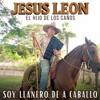 Soy Llanero de a Caballo