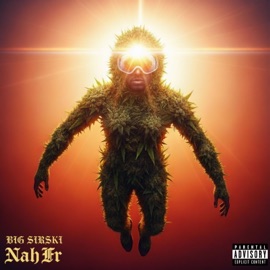 Hot Shi (feat. NDO Dee) Big Sirski