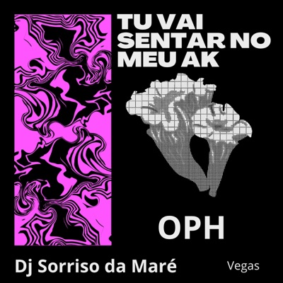 Tu Vai Sentar no meu Ak - Single