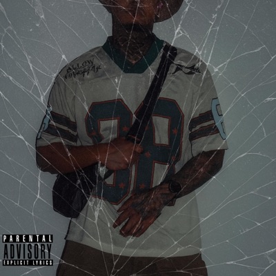 Te Vez Salvaje (feat. REY LUCAS) - Single