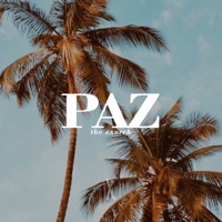 Paz - Single - The cXurch