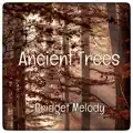 Ancient Trees