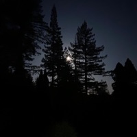 vamp shawty throw it back (feat. 9aradox) - Single - SLZ Savage