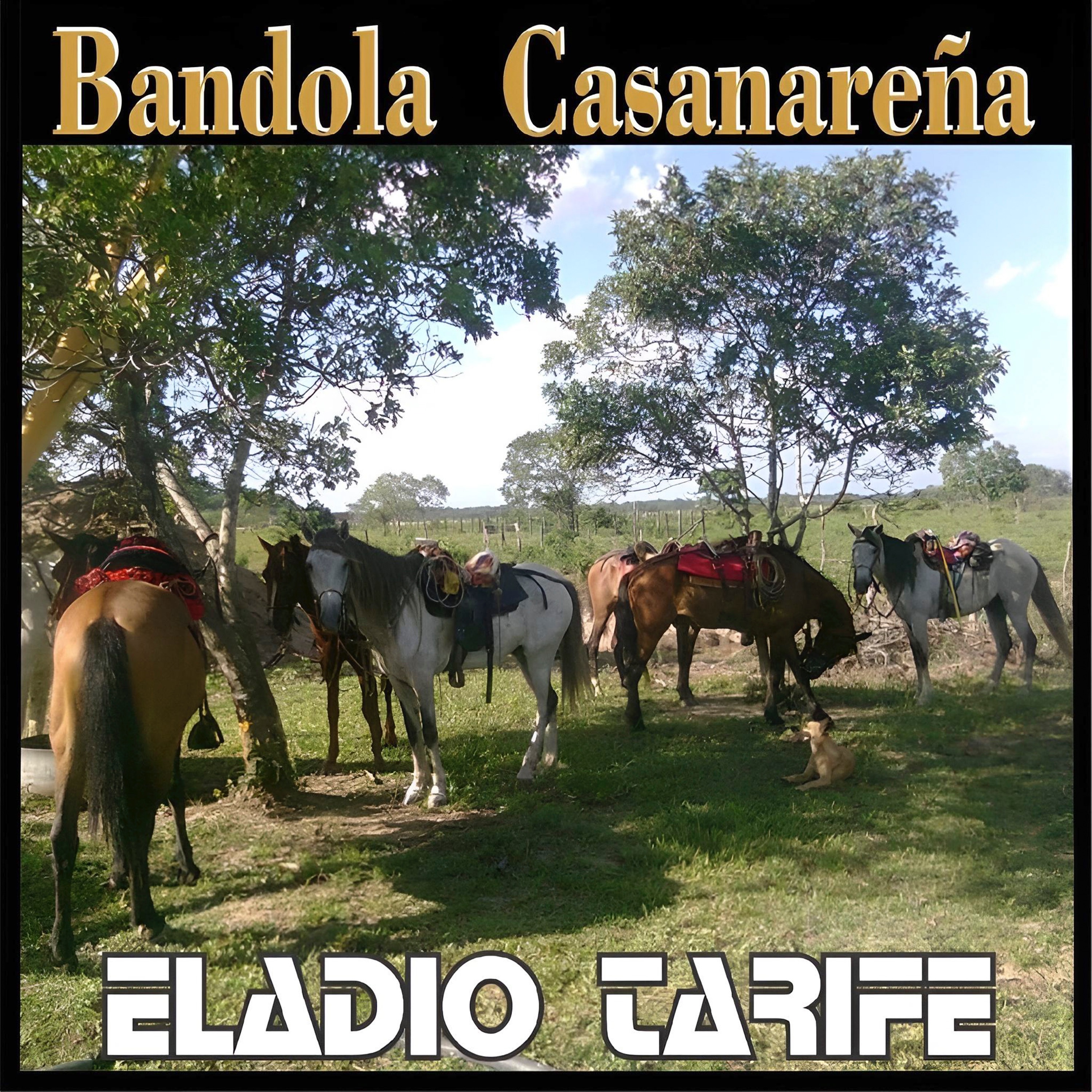 Bandola Casanareña