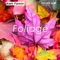 Foliage - Aleh Famin lyrics