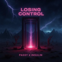 Losing Control - Single - PASSY & Insulin