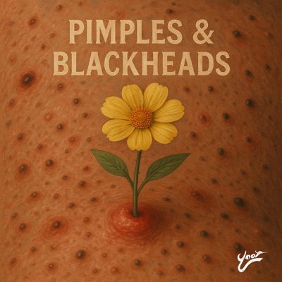 Pimples & Blackheads - Single