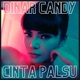 Cinta Palsu