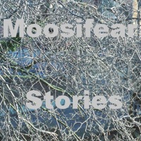 Stories - Single - Moosifear