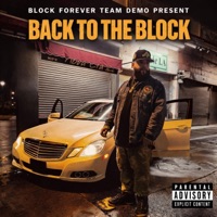 BACK TO THE BLOCK (feat. Team Demo) - Block Forever