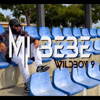 Mi Bebe - Single - Wildboy 9