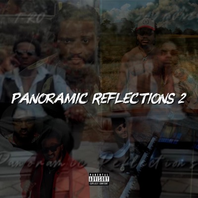 Panoramic Reflections 2