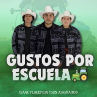 Gustos por escuela. - Single - Isaac placencia ysus asignados