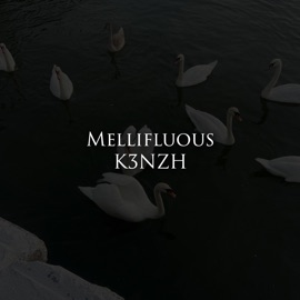 Mellifluous K3NZH