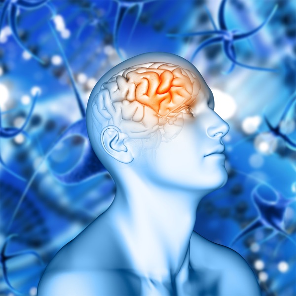 Prefrontal Cortex Meditation (Hemispheric Synchronization)