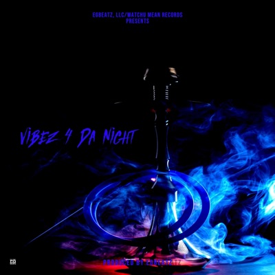 Vibez 4 Da Night - Single