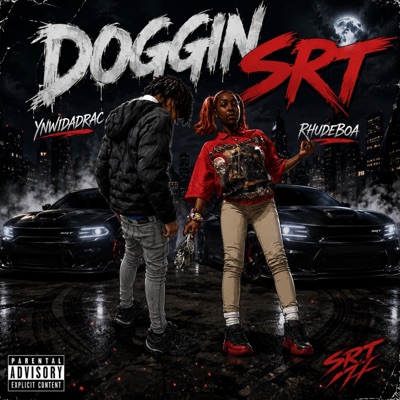 Doggin srt (feat. RhudeBoa) - Single