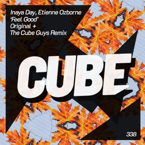 Feel Good (The Cube Guys Remix Radio Edit)