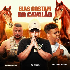 Elas Gostam do Cavalão