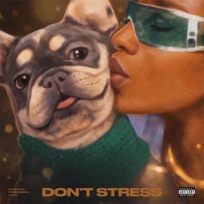 Don't Stress (feat. FlyLife & Tcfrmhonorroll) - Single