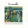 Zülfü Livaneli - Gökyüzü Herkesindir artwork