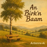 Birk'n Baam - Single - Antenne Ai