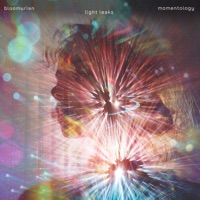 Light Leaks - Single - Bloomurian & Momentology