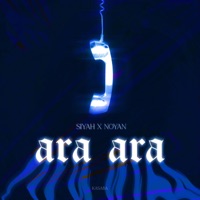 Ara ara (feat. Noyan) - Single - Siyah