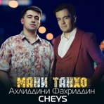 Мани Танхо - Single