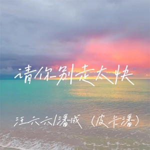 请你别走太快(3D环绕版) - Single