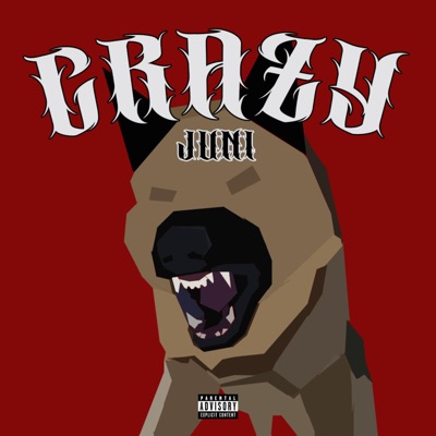 Crazy - Single