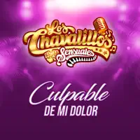Culpable de Mi Dolor — LOS CHAVALILLOS SENSUALES