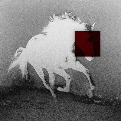 NeneDeMama - Single