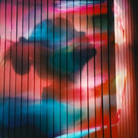 ууу детка AMCHI