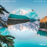 Calming Zone - Single - 漩涡唱片 & Soundwave